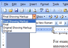 Showing markup in Word XP