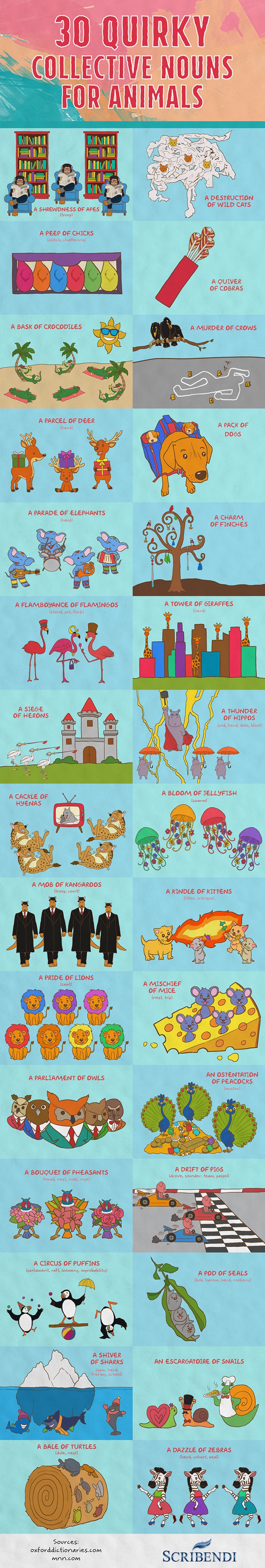 30 Quirky Collective Nouns for Animals