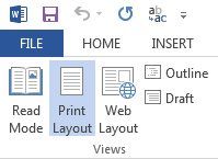 The Print Layout View in MS Word