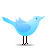 Twitter Icon