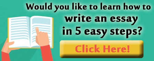Development Writing Online Course | StraighterLine