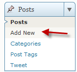 Looking for the Add New entry in the Posts menu The Posts menu in WordPress