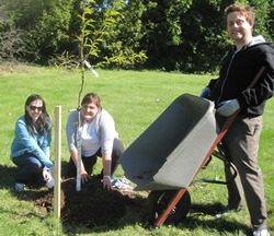 Our staff planted trees at a Chatham park. Two women kneel in front of a freshly planted tree at a Chatham park. A man with a wheelbarrow stands next to them.