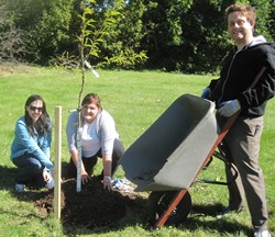 Two women kneel in front of a freshly planted tree at a Chatham park. A man with a wheelbarrow stands next to them.