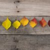 5 Common Character Archetypes in Literature