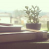 APA Series Part Four: APA Title Page