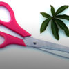 Five Reasons to Trim the Fat from Your Writing