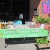 Scribendi.com Hosts a BBQ to Benefit Local Greening Initiative