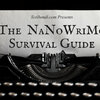 The NaNoWriMo Survival Guide