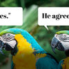 How to Paraphrase: Dos, Don'ts, and Strategies for Success