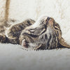 Seven Ways to Stay Awake and Alert