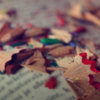 Twelve Words You Probably Have Wrong