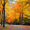 Scribendi.com Founders Donate to Community Green Initiative
