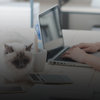 5 Working from Home Tips for Writers