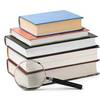 Sample Literature Review